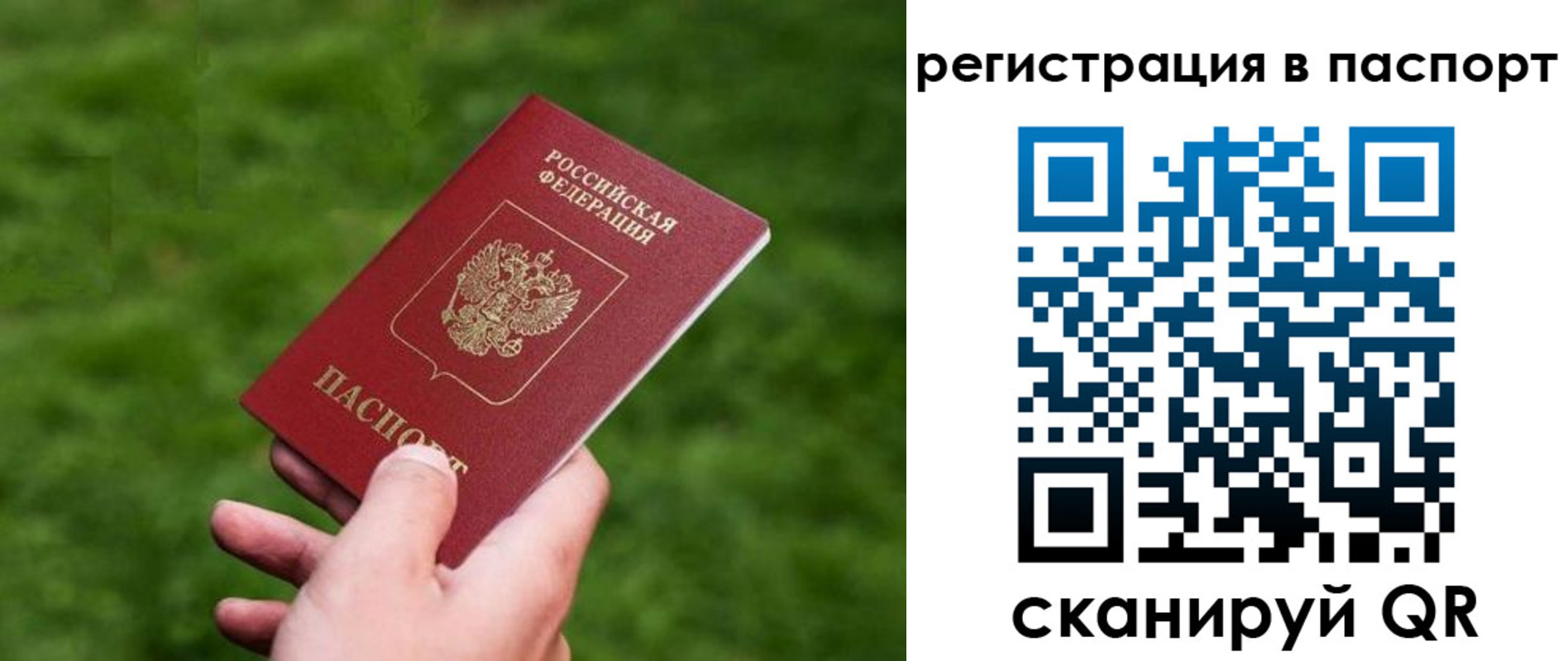 пропишу в квартире в Ногинске